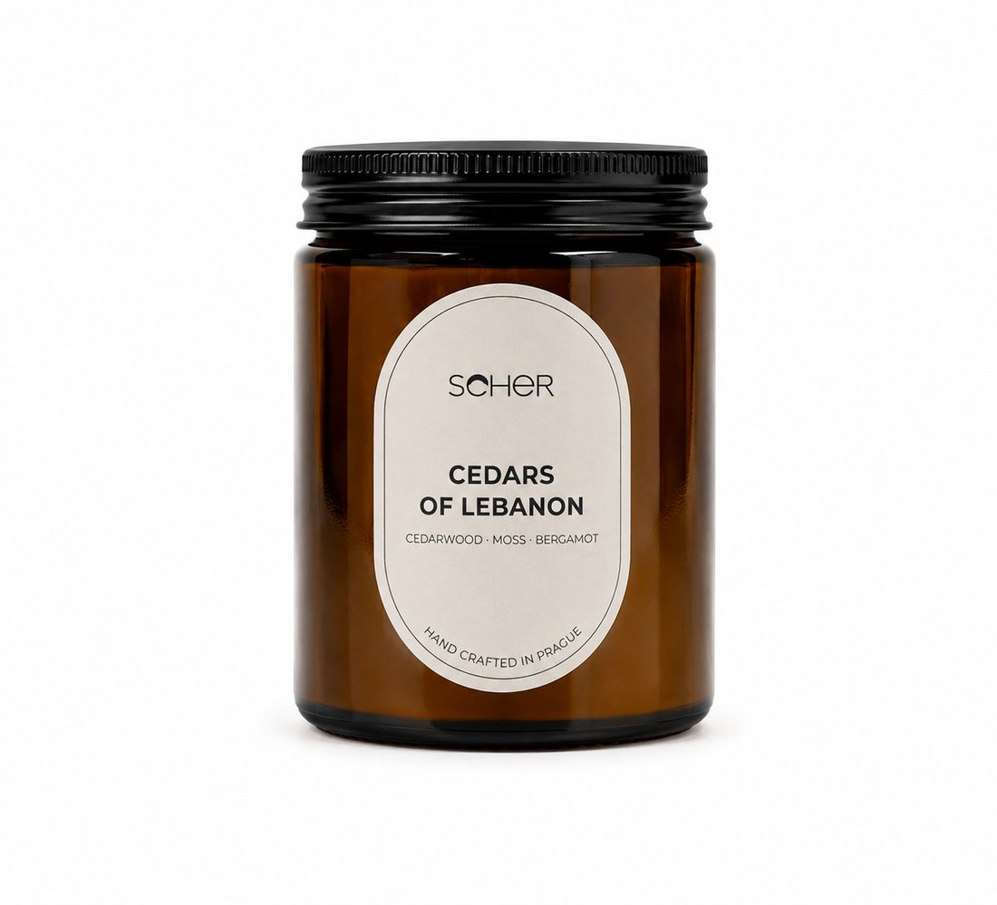 Seher Cedars of Lebanon candle with cedarwood, moss and bergamot fragrance
