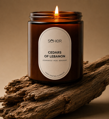 Seher Cedars of Lebanon candle with cedarwood, moss and bergamot fragrance